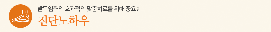 진단노하우