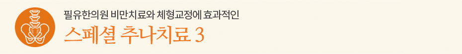 스페셜 추나치료 3