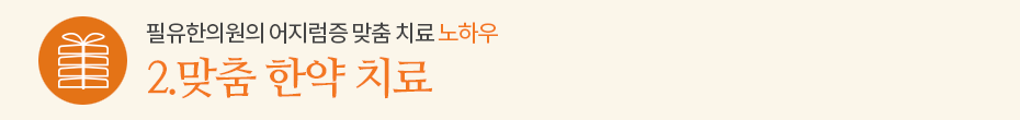 노하우2. 맞춤 한약치료